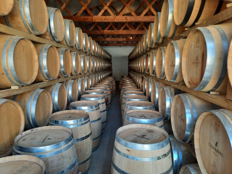 A wine cellar full of wine barrels