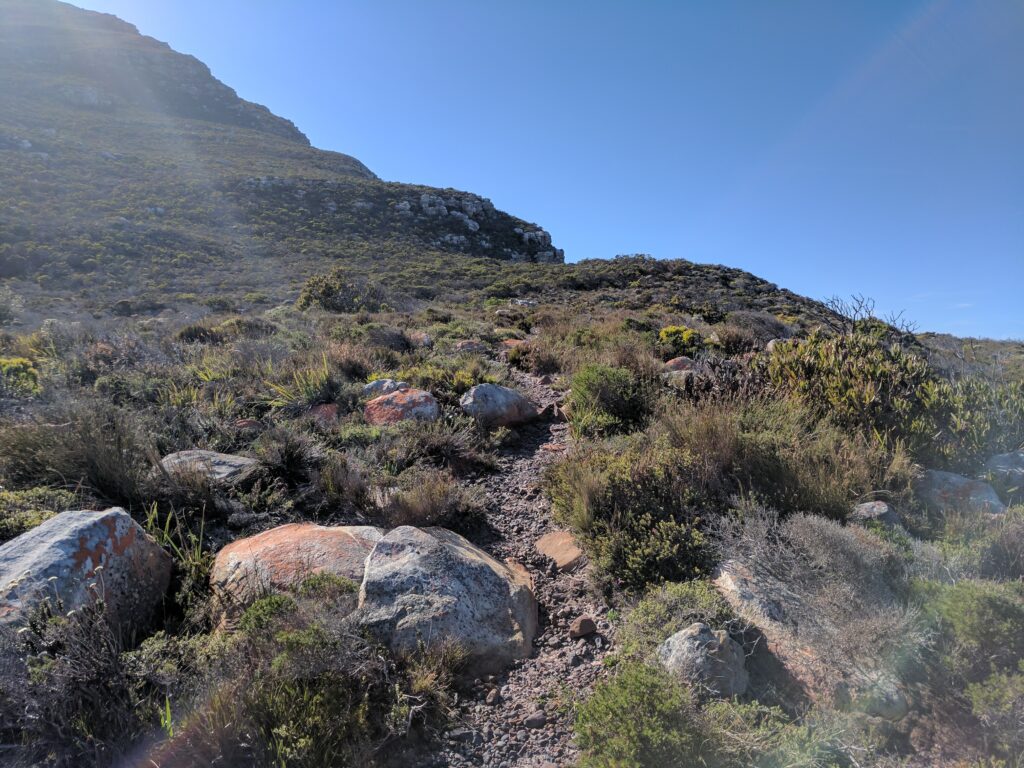 The trail on the way up Chapman's Peak